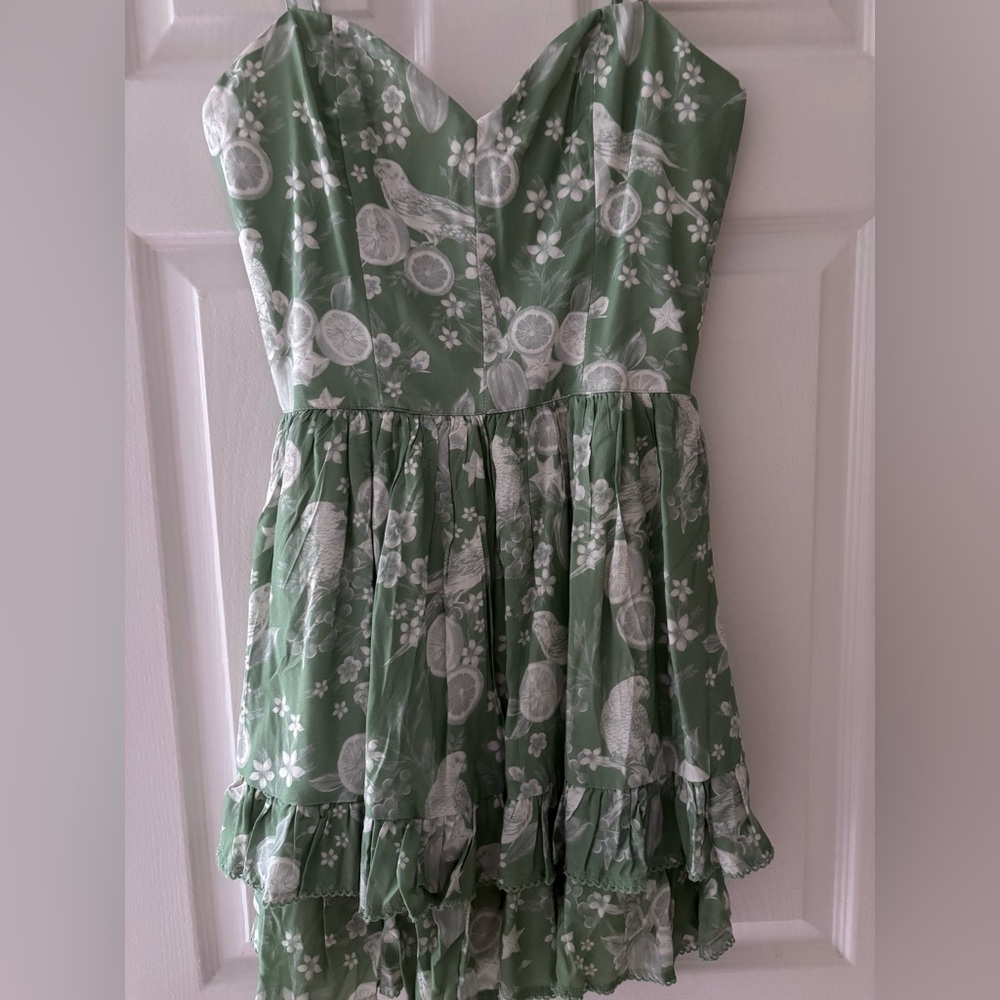 NWT Agua Bendita Green Floral Print Dress